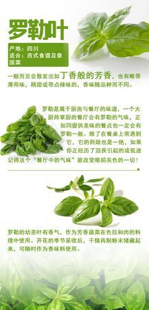 西餐的调味料和香料