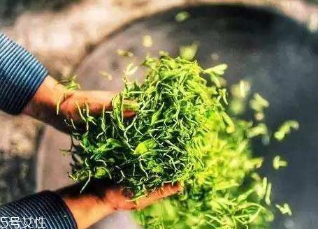 黄金茶怎么泡 黄金茶好喝吗 黄金茶怎么泡 黄金茶好喝吗