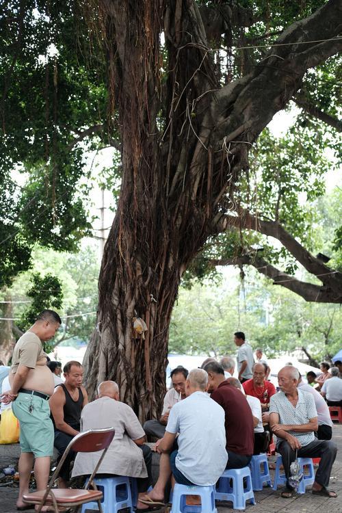 退休生活的图片 退休生活的图片带字