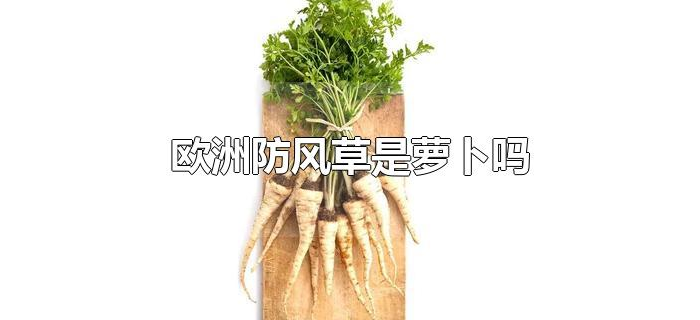 欧洲防风草是萝卜吗
