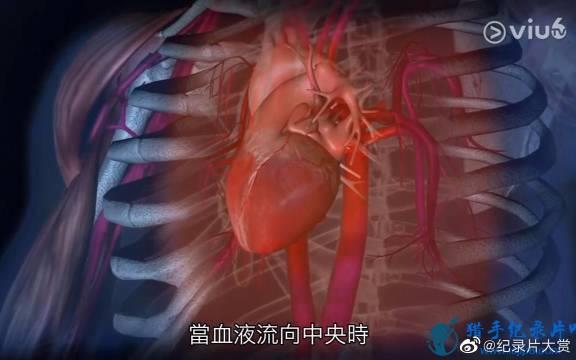 科普纪录片《人体的奥秘》第一集： 尽管目前医学对人体的理解仍