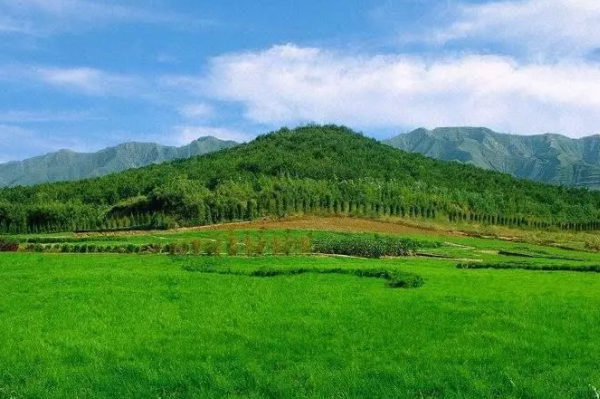 秦始皇陵为什么至今没挖完:谜底墓中藏(国际著名遗址不敢开)