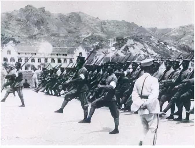 三十万东北军归谁了(三十万东北军为什么不抵抗)