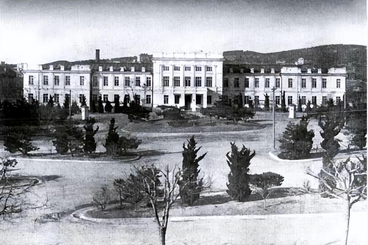 三十万东北军归谁了(三十万东北军为什么不抵抗)