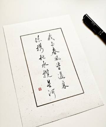 我与春风皆过客 你携 秋水揽星河怎么回