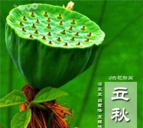 立秋当天吃什么