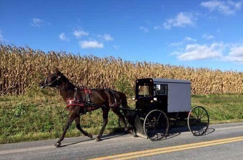脚尖上的世界, 生活在最发达国家的“古代人”!