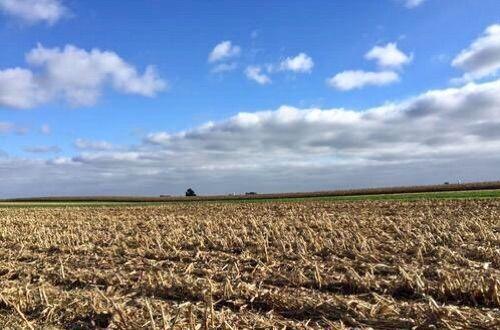 脚尖上的世界, 生活在最发达国家的“古代人”!
