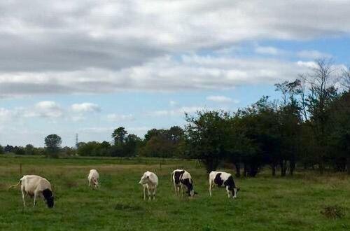 脚尖上的世界, 生活在最发达国家的“古代人”!