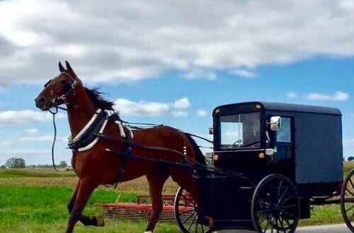 脚尖上的世界, 生活在最发达国家的“古代人”!