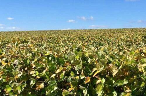 脚尖上的世界, 生活在最发达国家的“古代人”!