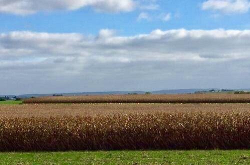 脚尖上的世界, 生活在最发达国家的“古代人”!
