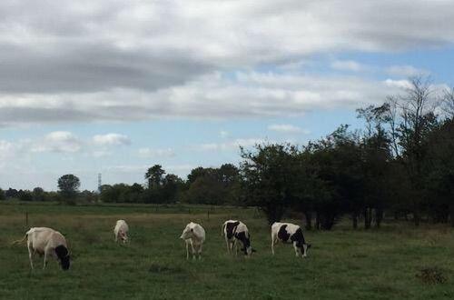脚尖上的世界, 生活在最发达国家的“古代人”!