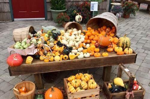 脚尖上的世界, 生活在最发达国家的“古代人”!