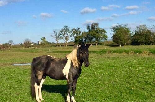 脚尖上的世界, 生活在最发达国家的“古代人”!