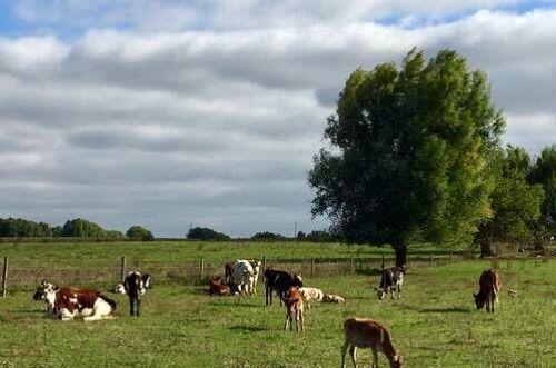 脚尖上的世界, 生活在最发达国家的“古代人”!