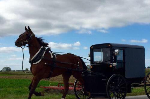 脚尖上的世界, 生活在最发达国家的“古代人”!