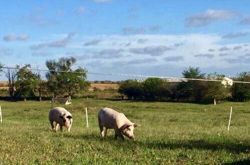 脚尖上的世界, 生活在最发达国家的“古代人”!