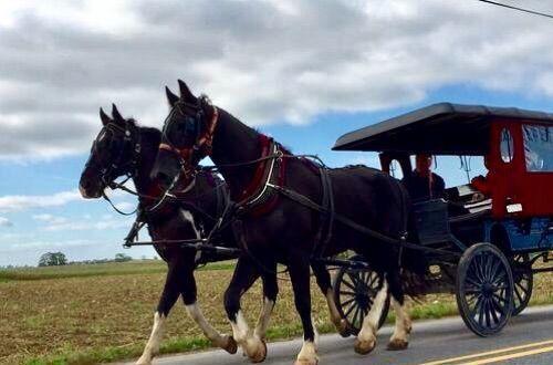 脚尖上的世界, 生活在最发达国家的“古代人”!