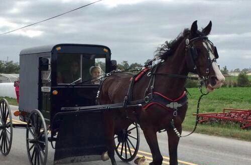 脚尖上的世界, 生活在最发达国家的“古代人”!