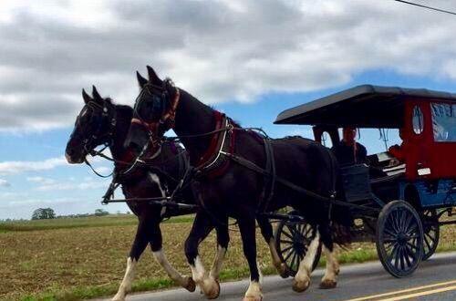 脚尖上的世界, 生活在最发达国家的“古代人”!