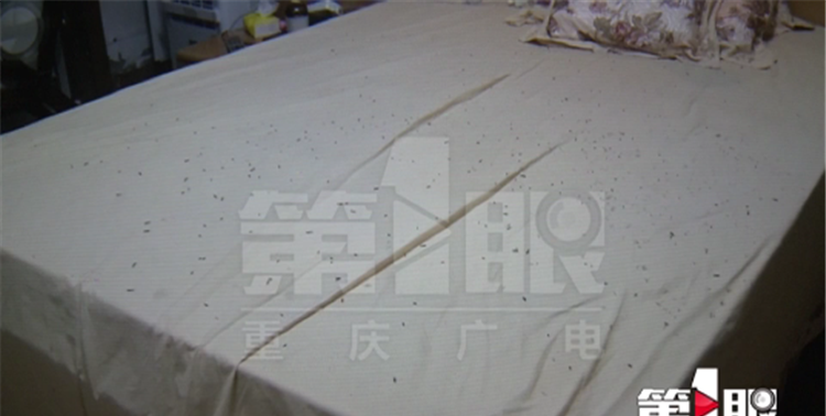 卫生间有飞蛾怎么处理