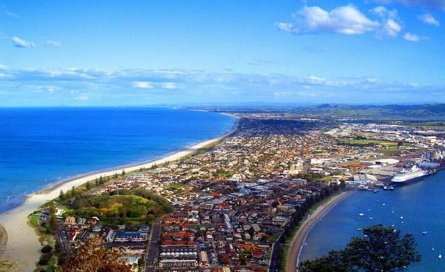 新西兰是哪个国家的图标