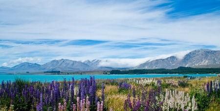 新西兰是哪个国家，新西兰是哪个国家的图标？图5