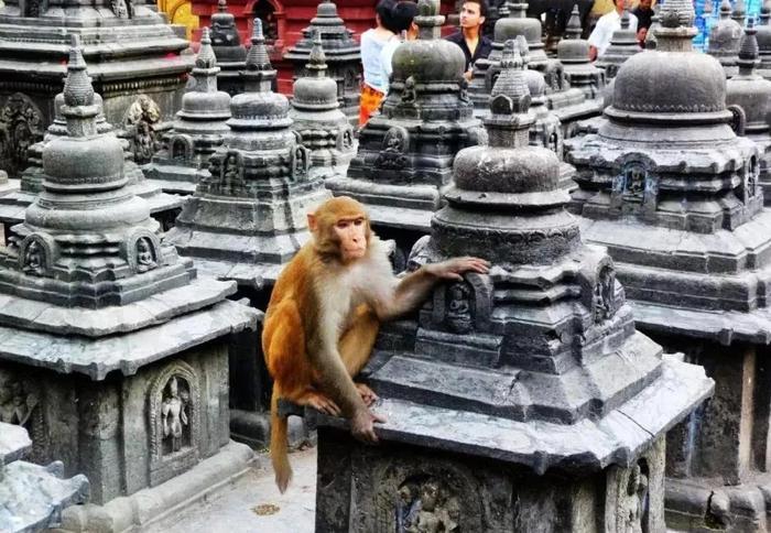 寺庙之城-加德满都