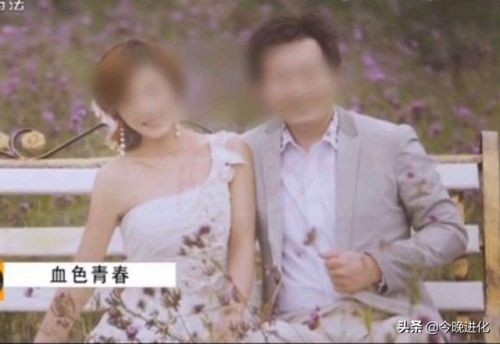 晋城交通违章查询网(晋城交通违章查询网维护)-第1张图片-