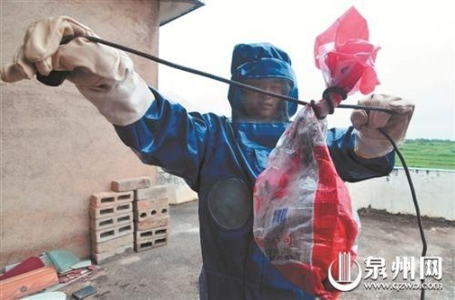 黑旋风杀虫剂喷完多久后才能进入室内 黑旋风杀虫剂毒性大吗-第1张图片-