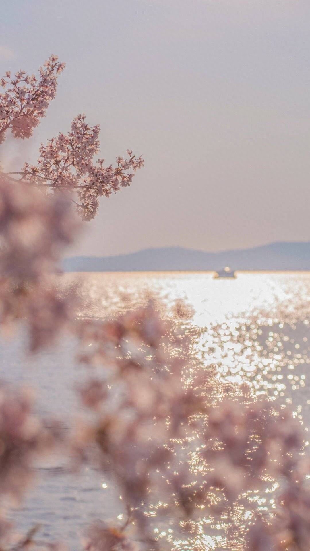 盘点那些bulingbuling的闪光壁纸，感觉回到了十六岁的夏天