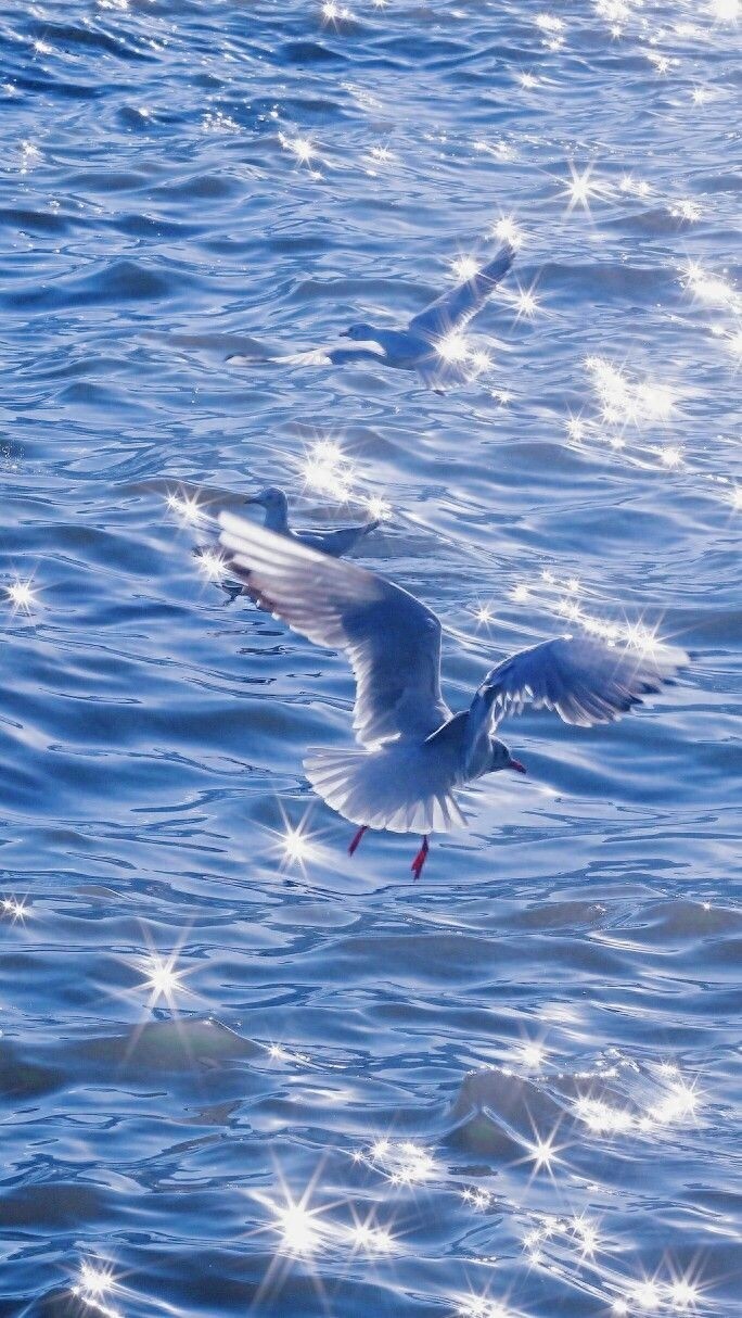 盘点那些bulingbuling的闪光壁纸，感觉回到了十六岁的夏天