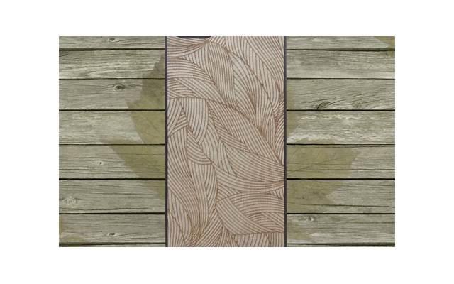 狮子老虎猫头鹰性格测试