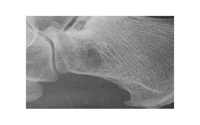 探寻狮子座的领导力和独特魅力