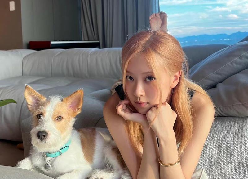 【必读】巨蟹座喜欢射手座的7个原因