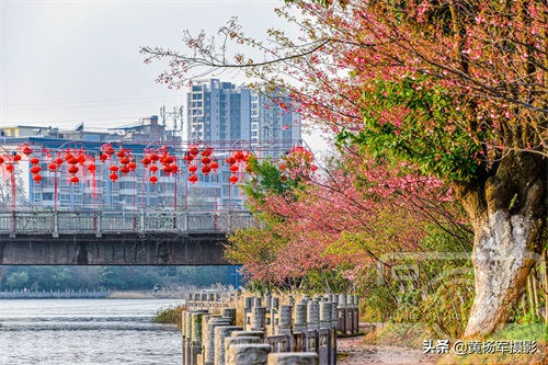 江西赣州五龙客家风情园，客家文化气息浓郁景美，赣州休闲好去处