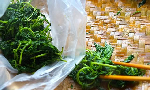 青团不放冰箱会坏吗，家庭版青团简单做法？图10