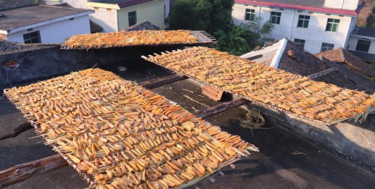 干的红薯干怎么吃