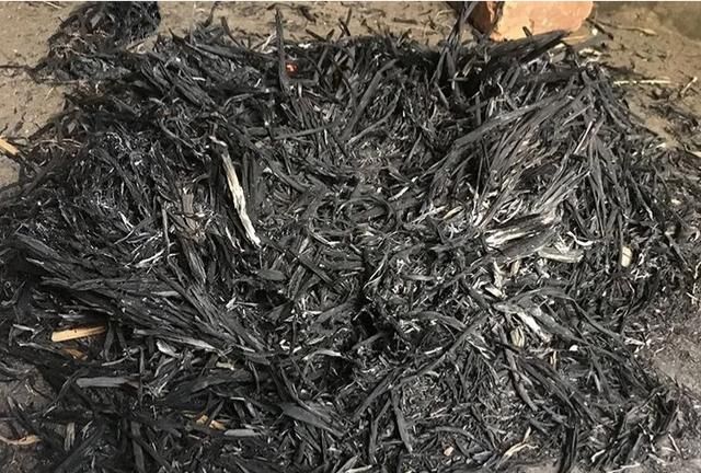 怎么做粽子,黄精烧灰怎么做粽子?图3