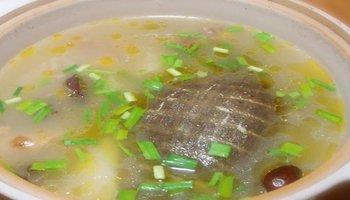 甲鱼汤的正宗做法(美味滋补的清炖甲鱼)(4)