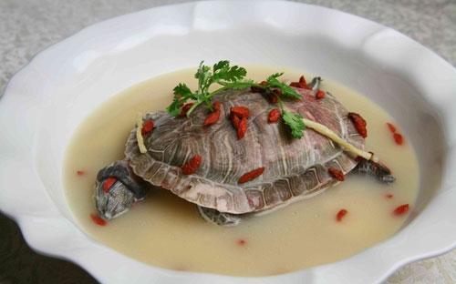 甲鱼汤的正宗做法(美味滋补的清炖甲鱼)(5)