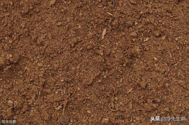 国五行属什么属性（百家姓中的姓氏笔画的五行属性）