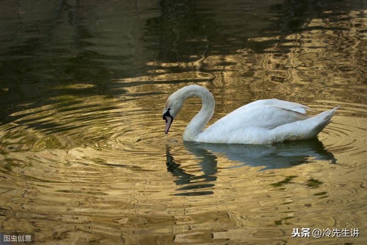国五行属什么属性（百家姓中的姓氏笔画的五行属性）