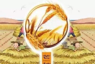 芒种是什么意思,芒种节气,芒种是什么意思,芒种代表什么?图1