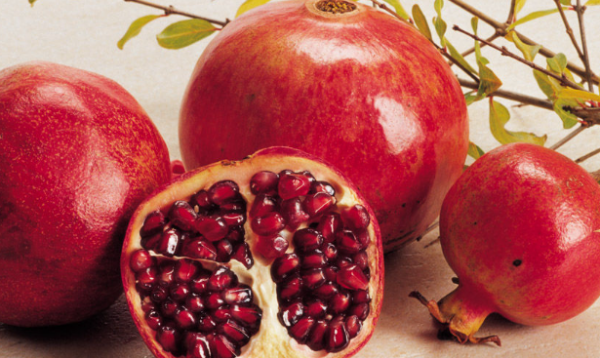 吃了石榴可以喝酸奶,吃了石榴可以喝酸奶吗图2