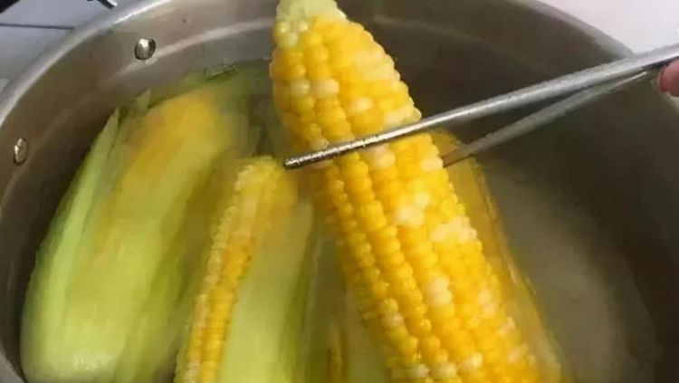 玉米煮几分钟能熟