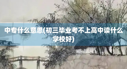 中专什么意思(初三毕业考不上高中读什么学校好)