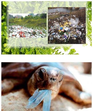 塑料袋会对环境产生哪些危害