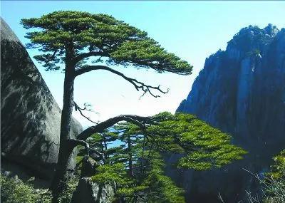 安徽徽州是哪里(什么是安徽徽州)(4)